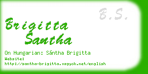 brigitta santha business card